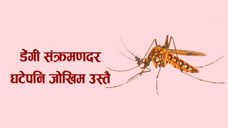 तीन वर्षयता डेंगी संक्रमण घट्दो, मनसुनमा भने जोखिम अझै उच्च